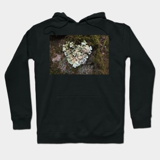 Heart shaped Lichen Hoodie